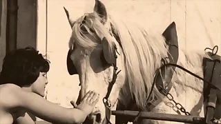 Swart Lantern Entertainment presents